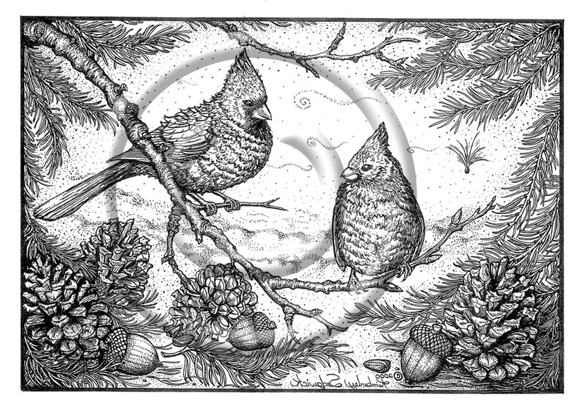 The Cardinal