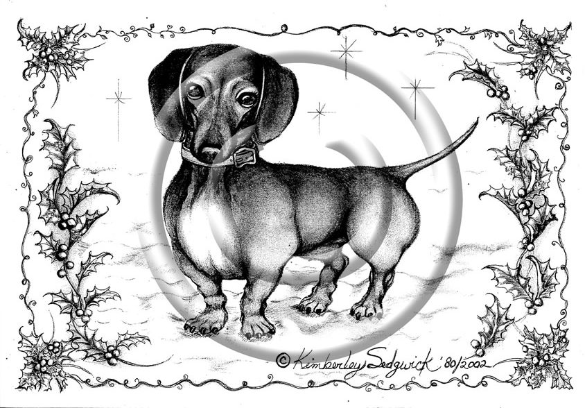 Fritzi Christmas