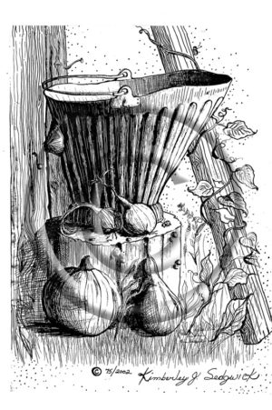 The Bucket
