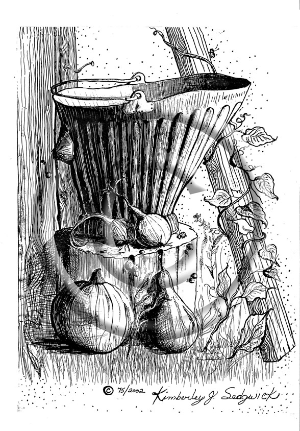 The Bucket