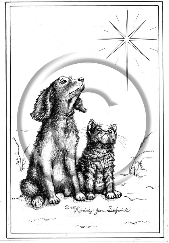 Dreaming (Star)