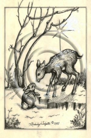 Bunny & Fawn