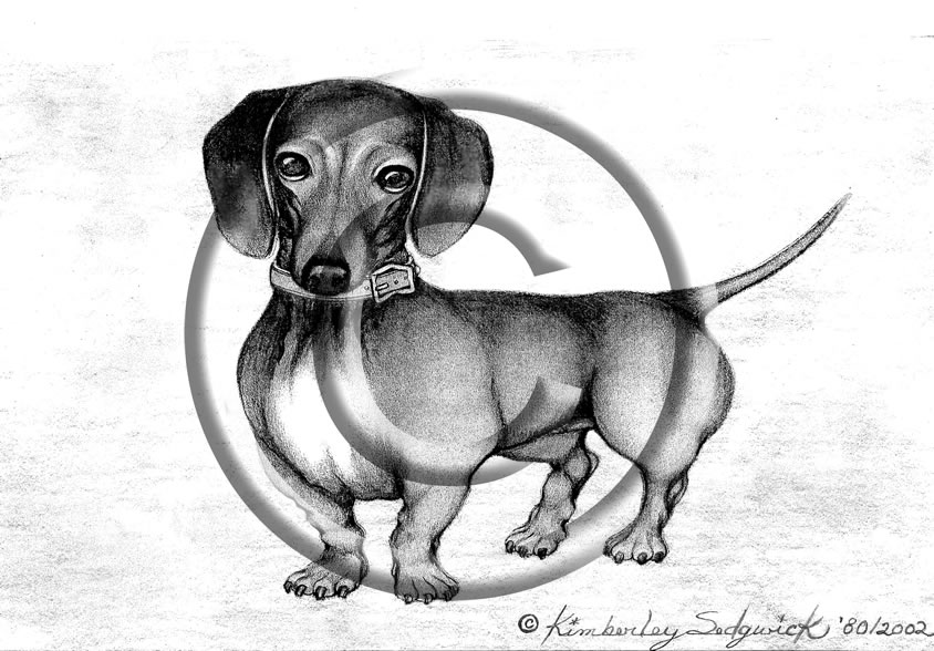 Fritzi