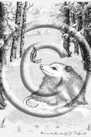 "The Opossum"