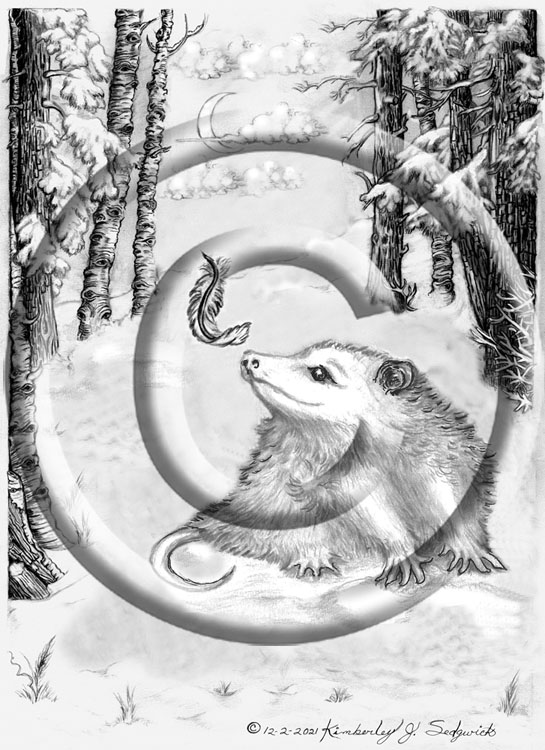 "The Opossum"